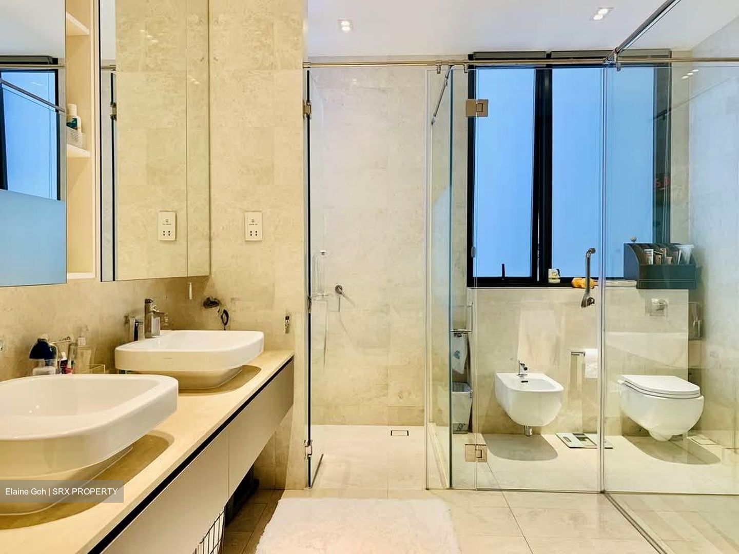 Trilight (D11), Condominium #580262711